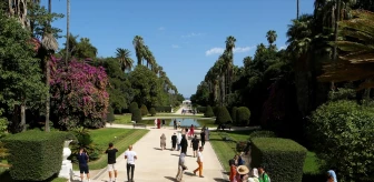 Cezayir'in başkentindeki doğa harikası: Hamma Botanik Bahçesi