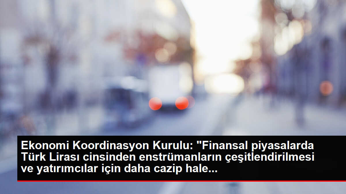 Ekonomi Koordinasyon Kurulu: 'Finansal piyasalarda Türk Lirası cinsinden enstrümanların çeşitlendirilmesi ve yatırımcılar için daha cazip hale...