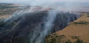 Elazığ'da ormanlık alanda çıkan yangın kontrol altına alındı