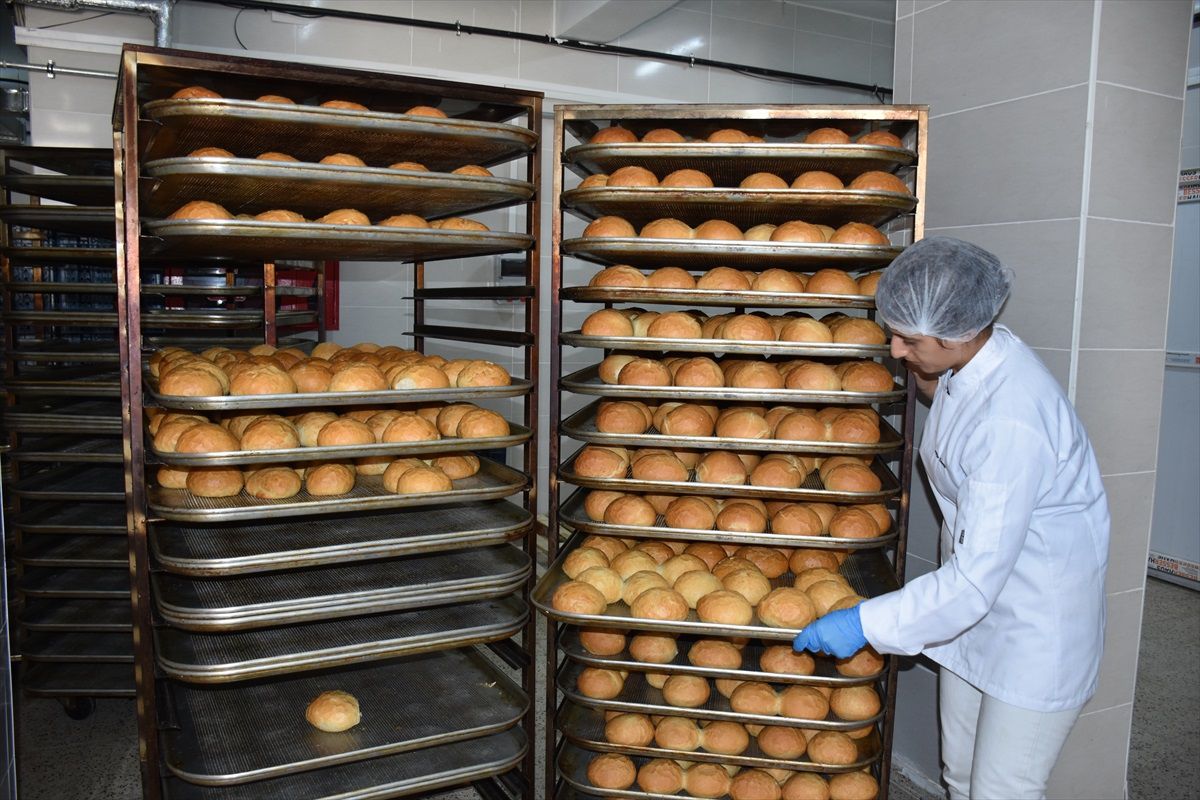 Hakkari'de öğrenciler, pansiyonlu okulların ihtiyacını karşılamak için günlük 6 bin ekmek üretiyor