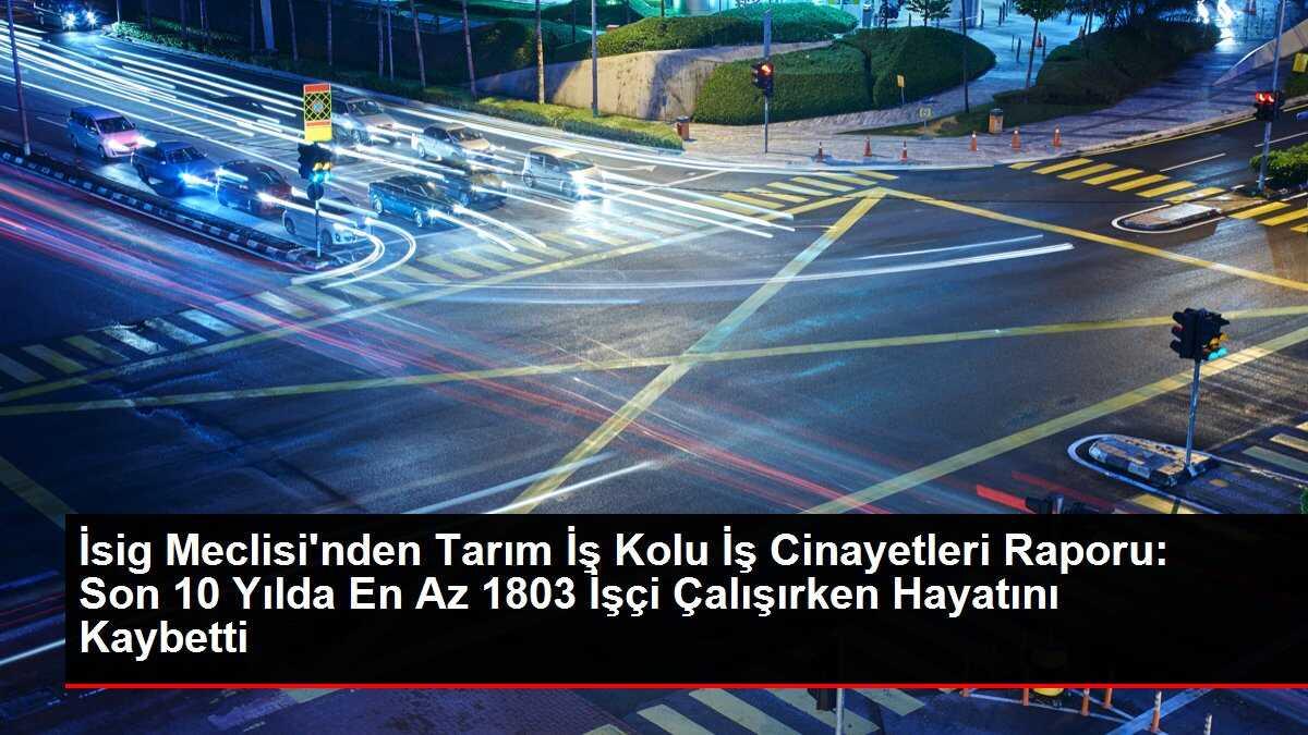 İsig Meclisi'nden Tarım İş Kolu İş Cinayetleri Raporu: Son 10 Yılda En Az 1803 İşçi Çalışırken Hayatını Kaybetti