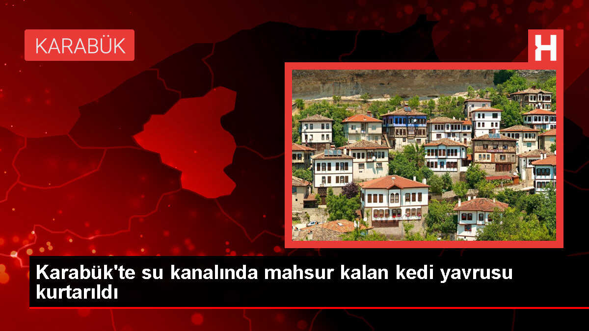 Karabük'te Su Kanalında Mahsur Kalan Kedi Yavrusu Kurtarıldı