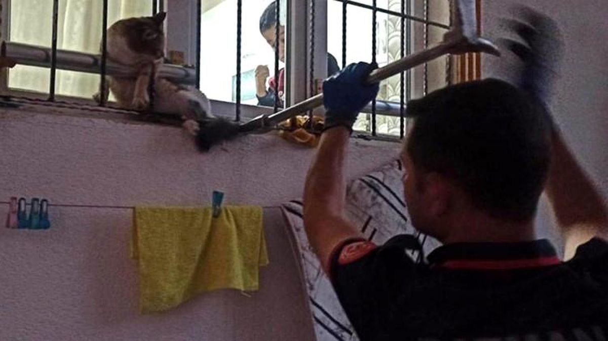 Batman'da sıkışan kedi itfaiye ekipleri tarafından kurtarıldı