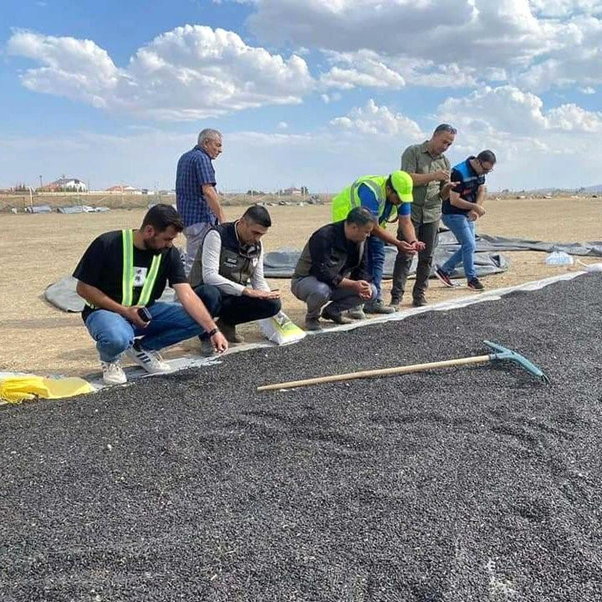 Emirdağ'da Ayçiçeği Hasadı Başladı