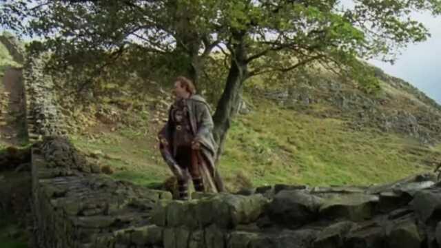 İngiltere'nin 200 yıllık simge ağacı kesildi! Ülke yasa girdi