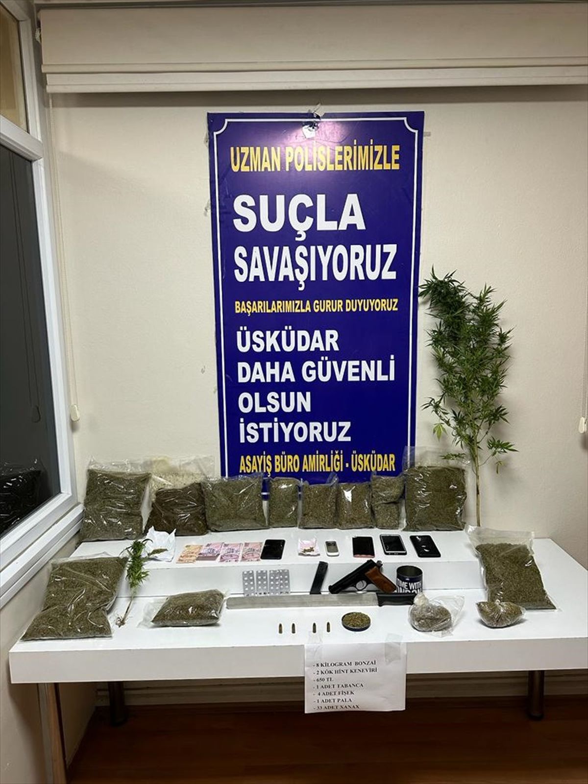 İstanbul'da Hint keneviri yetiştiren şüphelilerden biri tutuklandı