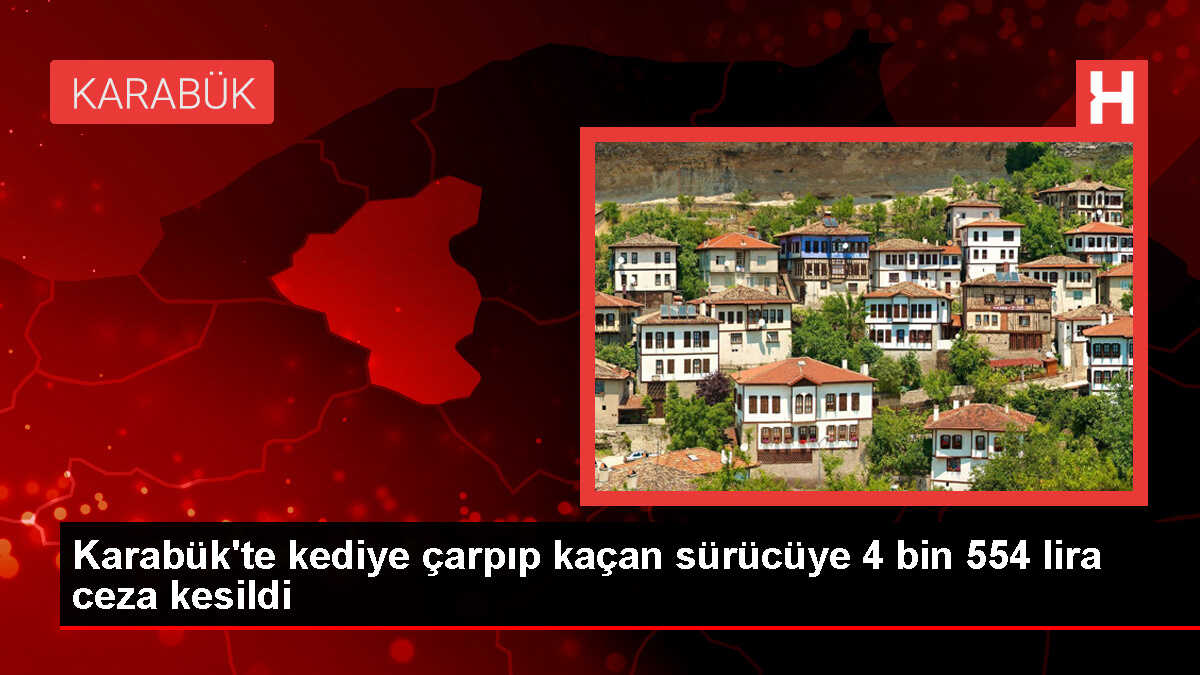 Karabük'te Otomobiliyle Kediye Çarpan Sürücüye Cezai İşlem