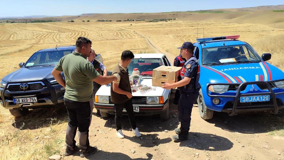 Sivas'ta İzinsiz Şahin Avlayanlara İşlem Yapıldı