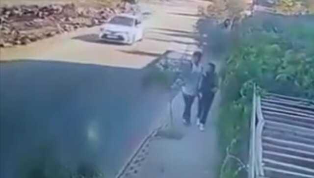 Lise öğrencisi, dalları yüzüne çarptığı için zeytin fidanını kırdı