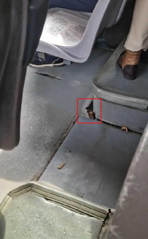 Videonun İETT otobüsünün içinde mantar yetiştiğini gösterdiği iddiası Videonun İETT otobüsünün içinde mantar yetiştiğini gösterdiği iddiası