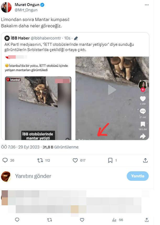 Videonun İETT otobüsünün içinde mantar yetiştiğini gösterdiği iddiası Videonun İETT otobüsünün içinde mantar yetiştiğini gösterdiği iddiası