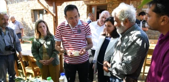 Gökçeada ve Bozcaada'da Yapılan Organik Tarım Çalışmaları Türkiye'ye Yön Verecek