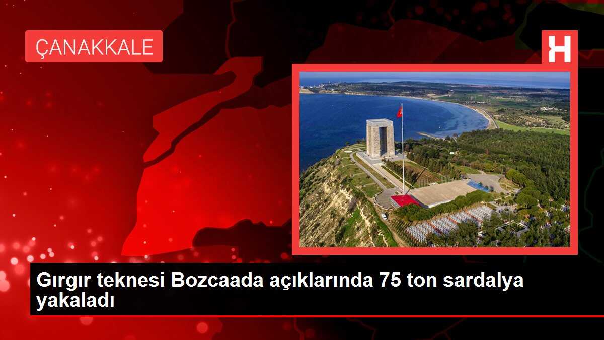 Gırgır teknesi Bozcaada açıklarında 75 ton sardalya yakaladı