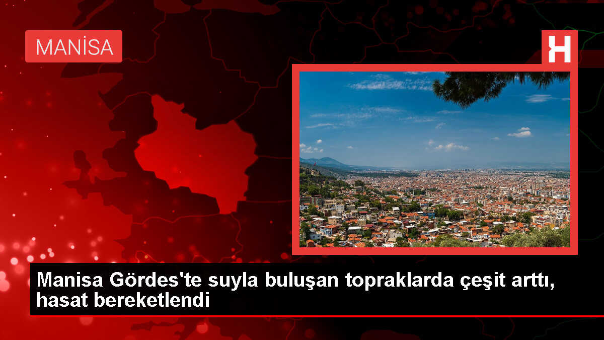 Manisa Gördes'te Barajlar Tarıma Can Verdi