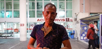 Aydın'da sahipsiz köpeklerin saldırısında bir kişi yaralandı