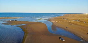 Hazar Denizi'nde suyun çekilmesi endişe yaratıyor