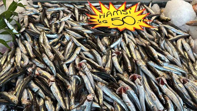 Geçen hafta 150 liraya çıkan hamsi bu hafta sudan ucuz Geçen hafta 150 liraya çıkan hamsi bu hafta sudan ucuz