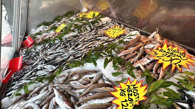 Geçen hafta 150 liraya çıkan hamsi bu hafta sudan ucuz Geçen hafta 150 liraya çıkan hamsi bu hafta sudan ucuz