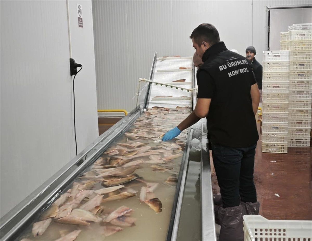 Beyşehir'de Balık Denetimleri Sürüyor