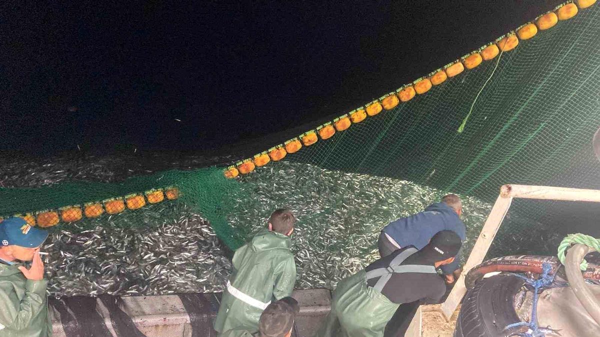 Çanakkale Boğazı'nda Tatar Reis Balıkçılık Gırgır Teknesi 30 Ton Sardalya Yakaladı