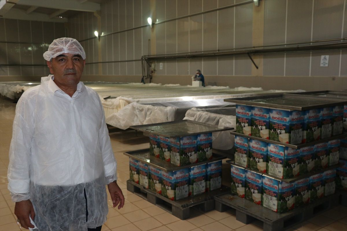 İhsan Tambulut, Devletten Aldığı Hibelerle Peynir Üretimini ve İstihdamı Artırdı