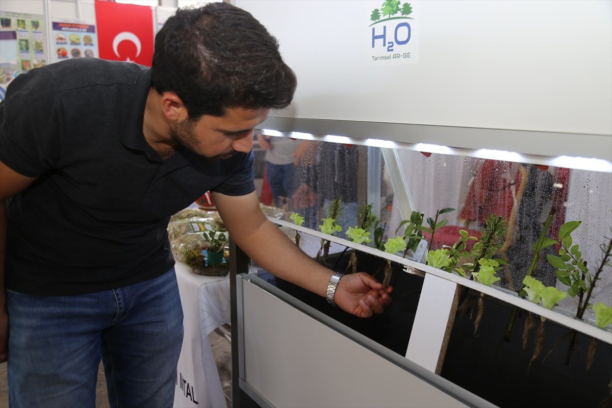 TOGÜ'den geliştirilen Aerophonic Bitki Köklendirme Ünitesi ile bitki köklendirme süresi kısalıyor