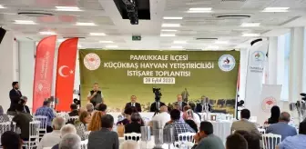 Denizli'de Küçükbaş Hayvan Yetiştiriciliği İstişare Toplantısı Gerçekleştirildi