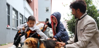 Zonguldak'taki Uzunmehmet Özel Eğitim Uygulama Okulu, Görme Engelli Köpeği Sahiplendi