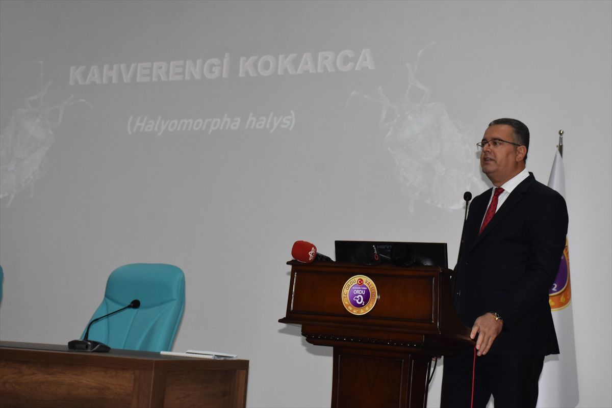 Ordu'da Kahverengi Kokarca ile Mücadele Toplantısı Gerçekleştirildi