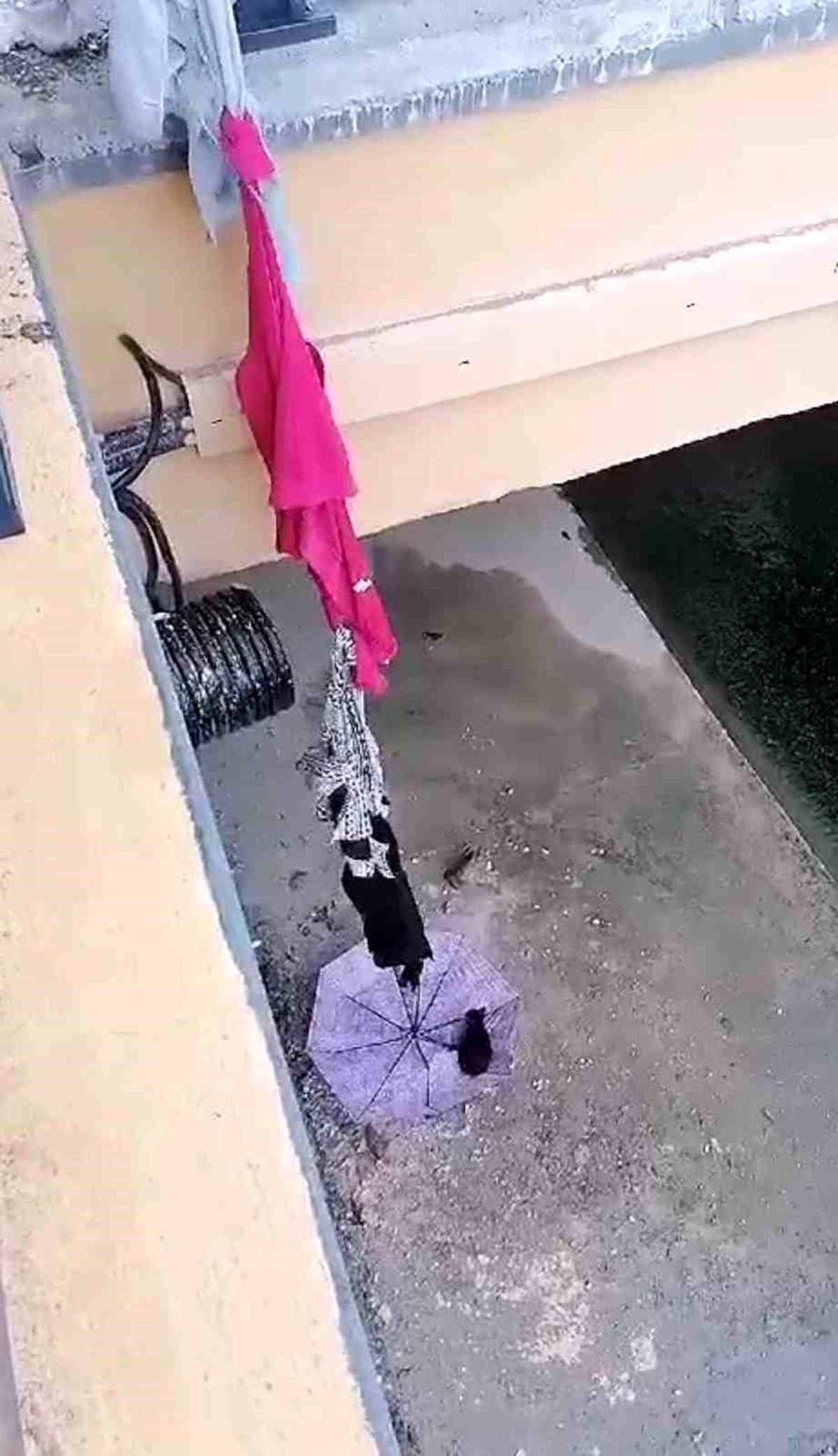 Tokat'ta Mahsur Kalan Yavru Kedi Vatandaşlar Tarafından Kurtarıldı