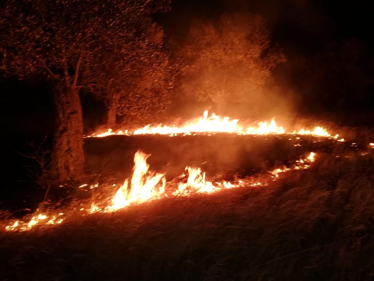 Balıkesir Havran'da Zeytinlik Alanında Çıkan Yangın Söndürüldü
