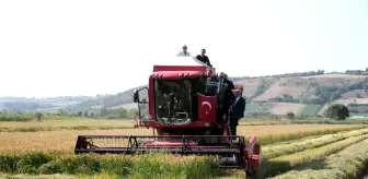 Samsun'da 9. Çeltik Hasat Şenliği Gerçekleştirildi