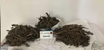 Tekirdağ'da 1 Kilo 770 Gram Esrar Ele Geçirildi