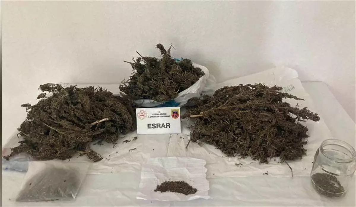 Tekirdağ'da 1 Kilo 770 Gram Esrar Ele Geçirildi