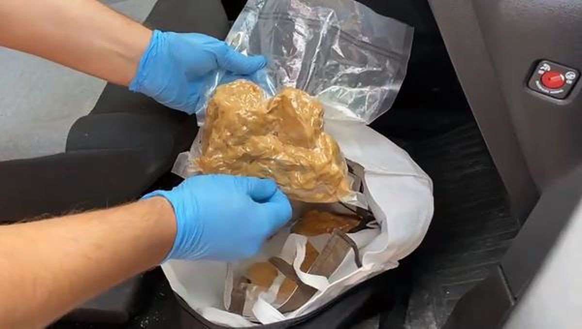 Adana'da 3 Kilo Bonzai Hammaddesi Ele Geçirildi