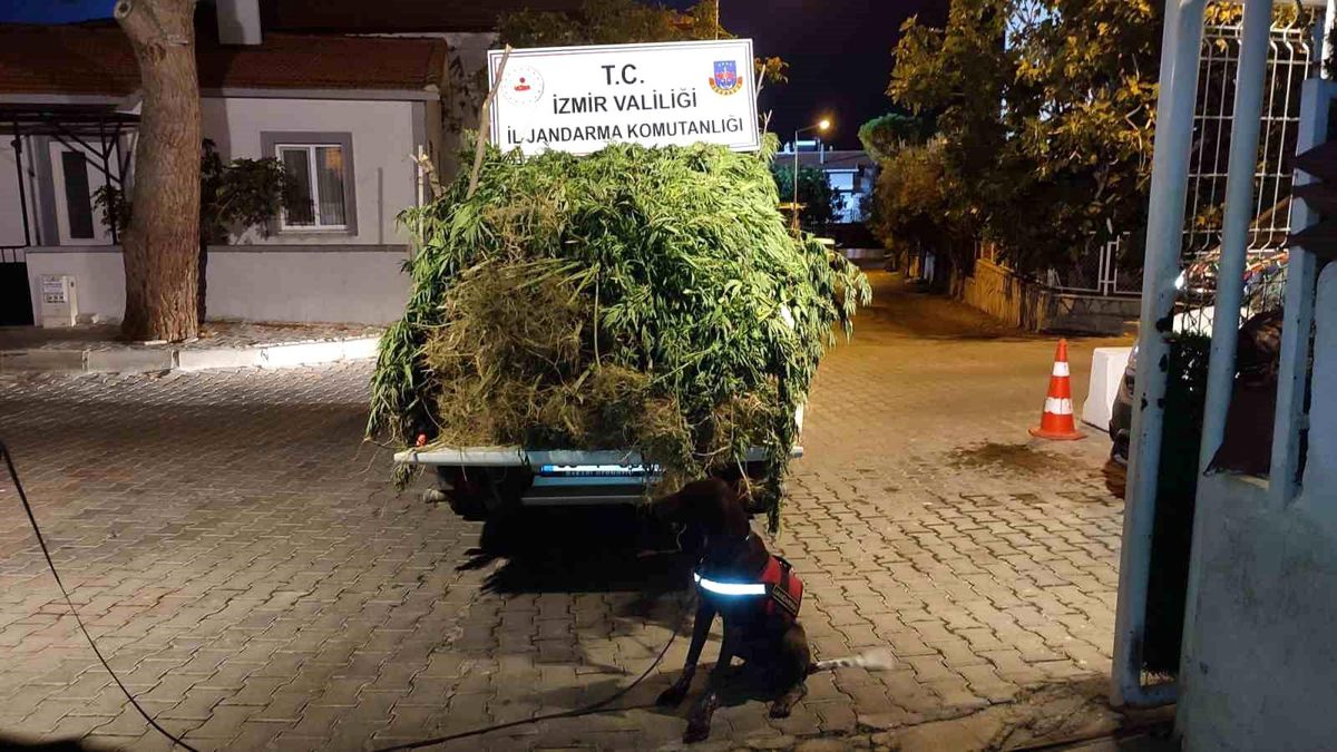 İzmir'de Uyuşturucu Operasyonunda 65 Kişi Gözaltına Alındı