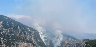 Burdur'da Karanlıkdere Kanyonu'nda Yangın Çıktı
