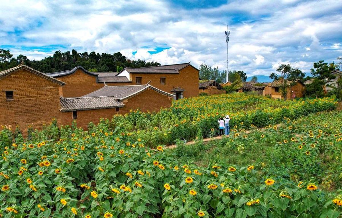 Çin'in Yunnan eyaletinde turizm geliri arttı