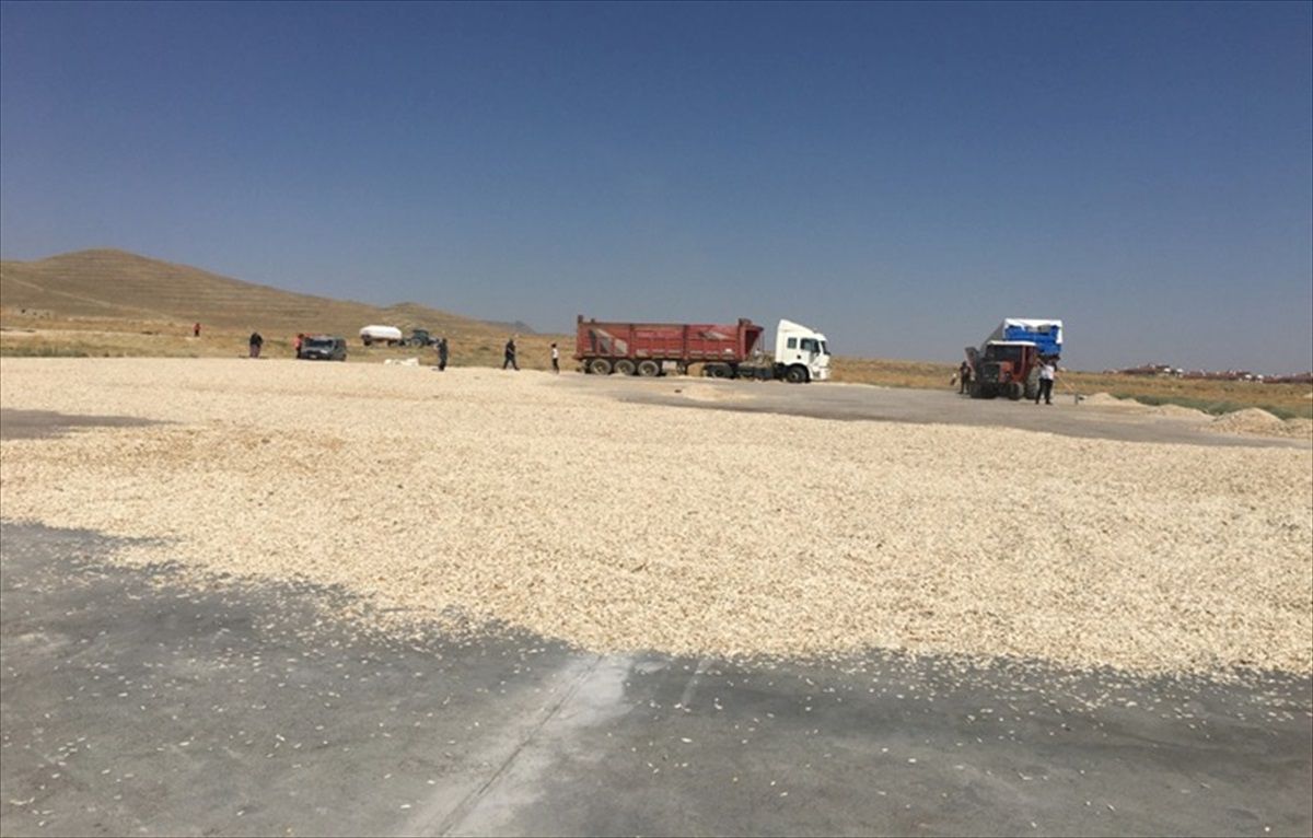 Kayseri'de Ay Çekirdeği Beton Kurutma Sahaları İnşa Edildi
