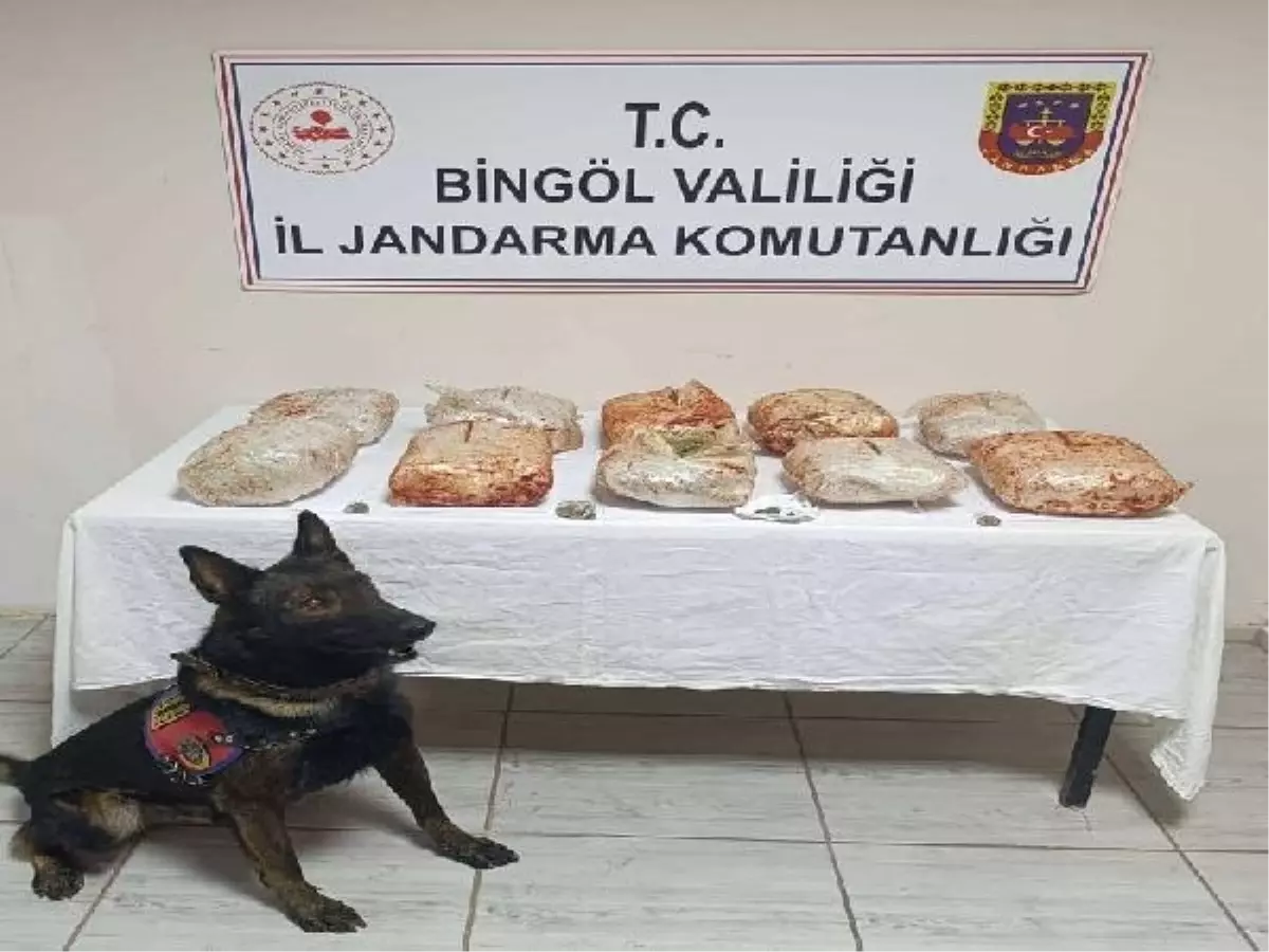 Bingöl'de Salça Kovalarında Gizlenmiş 10 Kilogram Esrar Ele Geçirildi