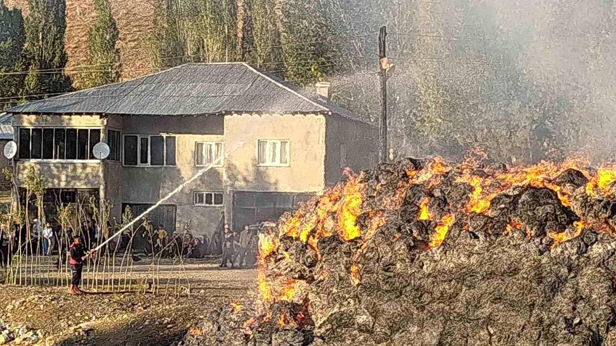 Yüksekova'da çıkan yangında 20 bin bağ ot kül oldu