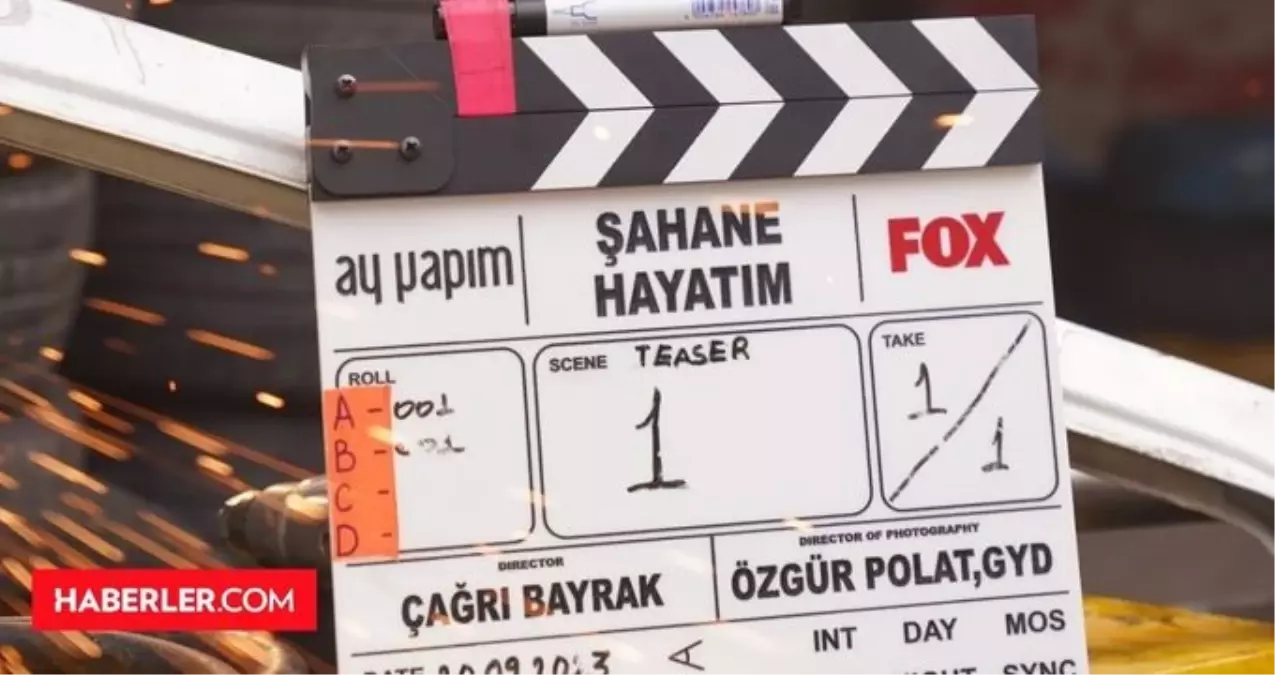 ŞAHANE HAYATIM dizisi konusu nedir, oyuncuları kimlerdir? Şahane Hayatım ne zaman başlıyor, hangi kanalda, saat kaçta?