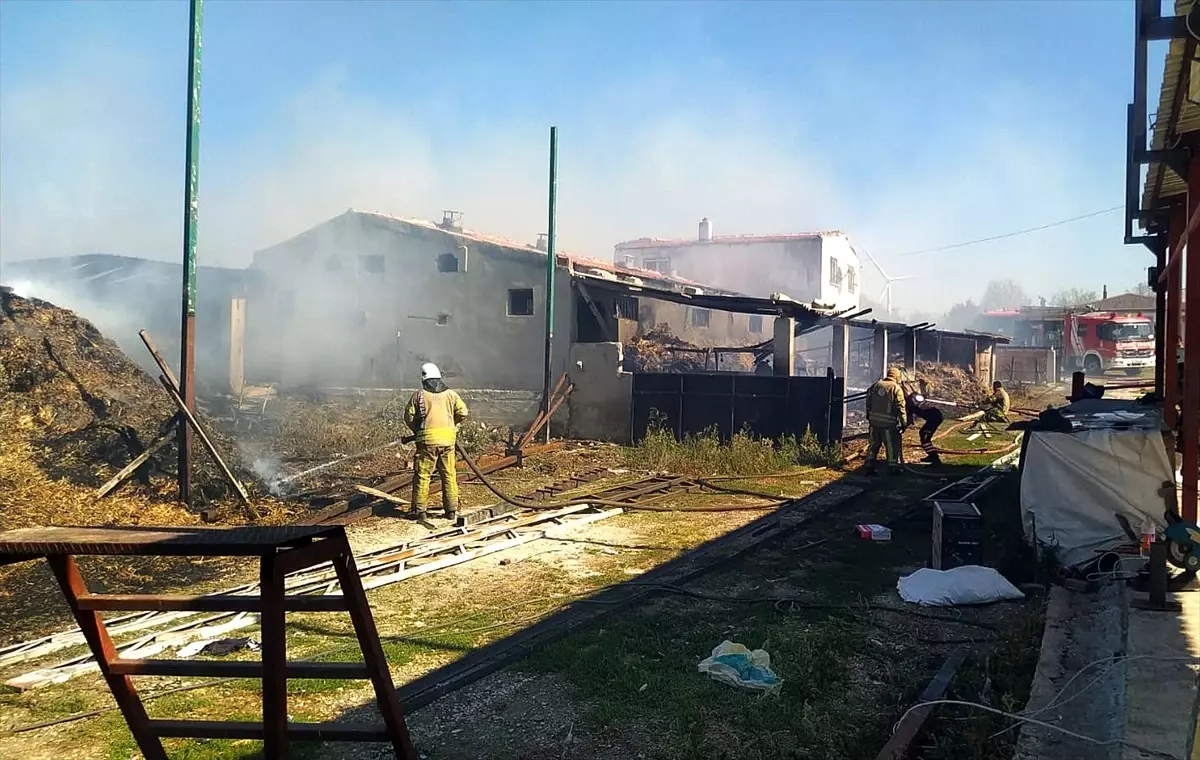 Silivri'de çiftlik yangını kontrol altına alındı