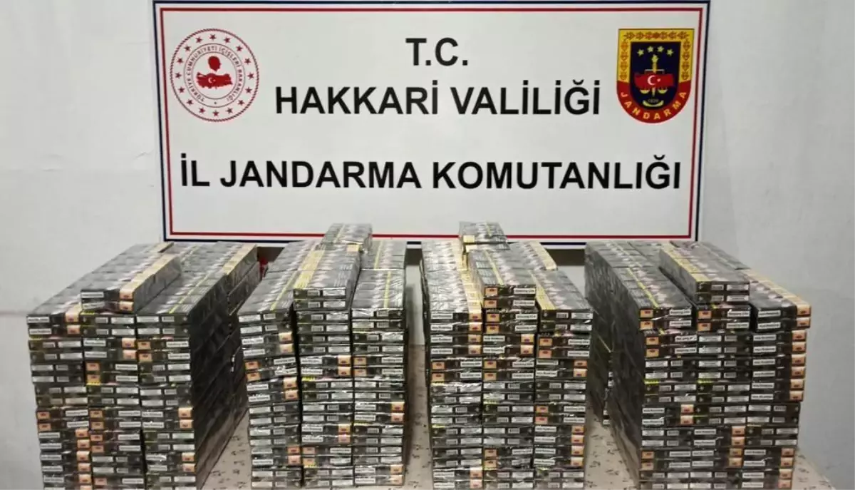 Hakkari'de Kaçakçılık Operasyonu: Çok Sayıda Malzeme Ele Geçirildi