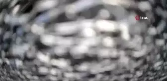 İzmir'de servis aracı otomobilin üzerine böyle devrildi