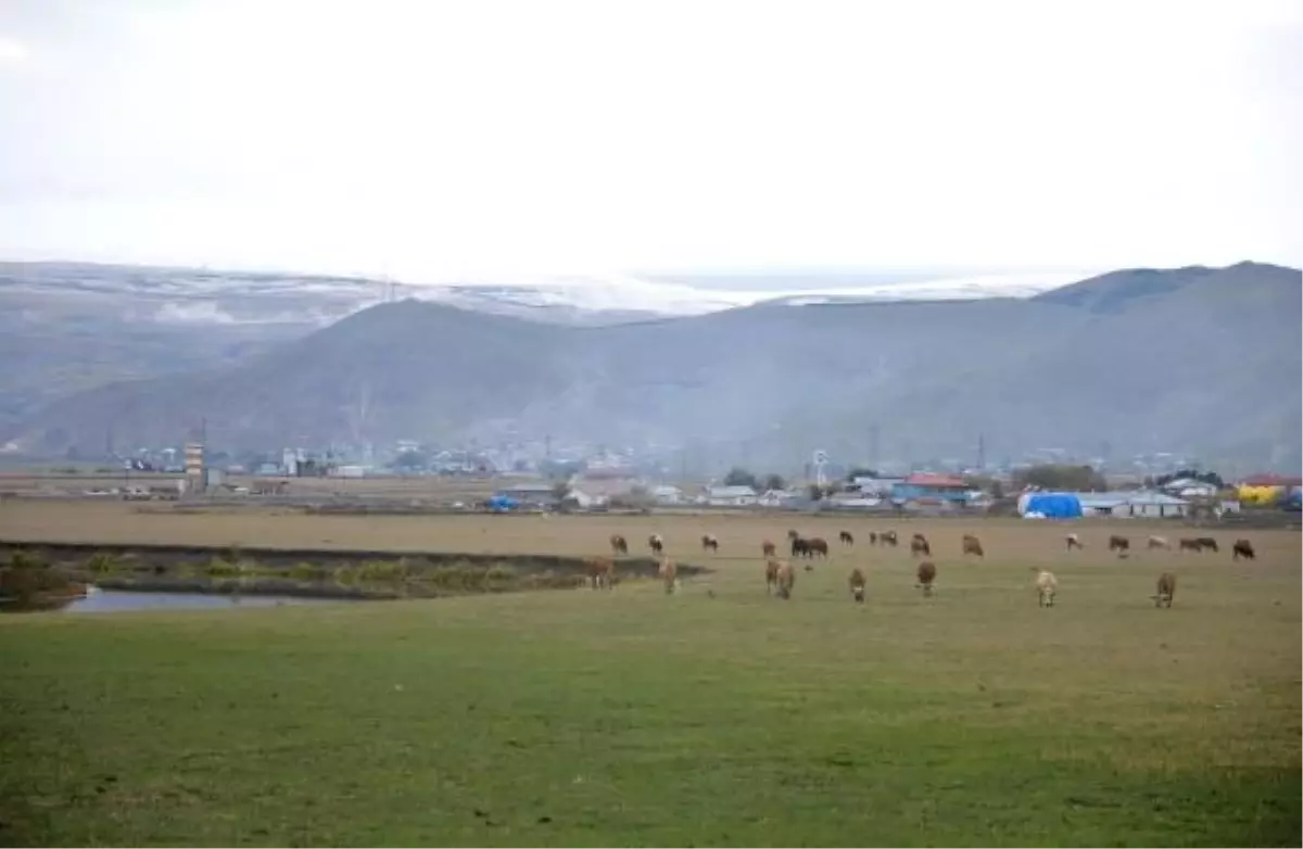 Ardahan'da Yüksek Rakımlı Dağlar Kar Yağışıyla Beyaza Büründü
