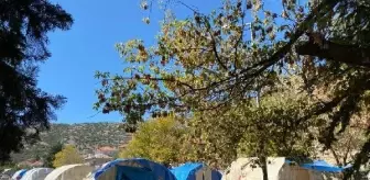 Mevsimlik İşçiler Arasında Çıkan Kavgada Bir Kişi Hayatını Kaybetti