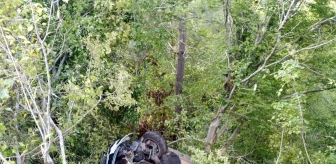 Hatay'da otomobil ormanlık alana düştü, sürücü yaralandı