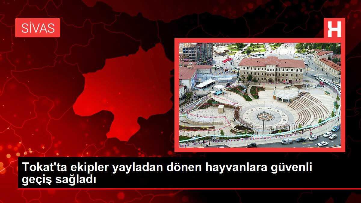 Tokat'ta ekipler yayladan dönen hayvanlara güvenli geçiş sağladı