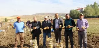 Sivas'ın Zara ilçesinde patates hasadı başladı